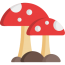 011-mushroom